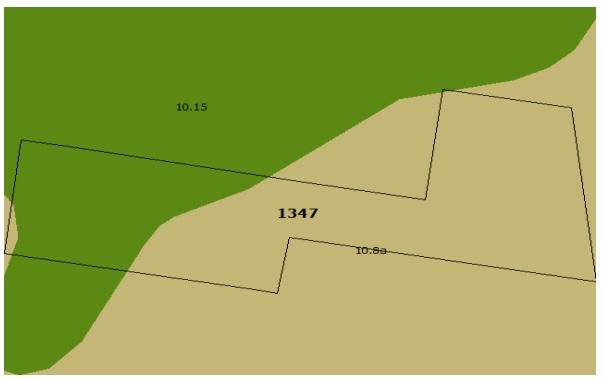 Mapa del suelo - Lote 2